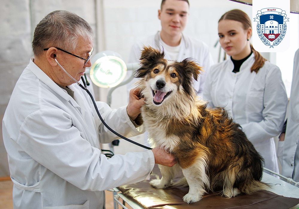 Veterinary Department MarSU Photo 12